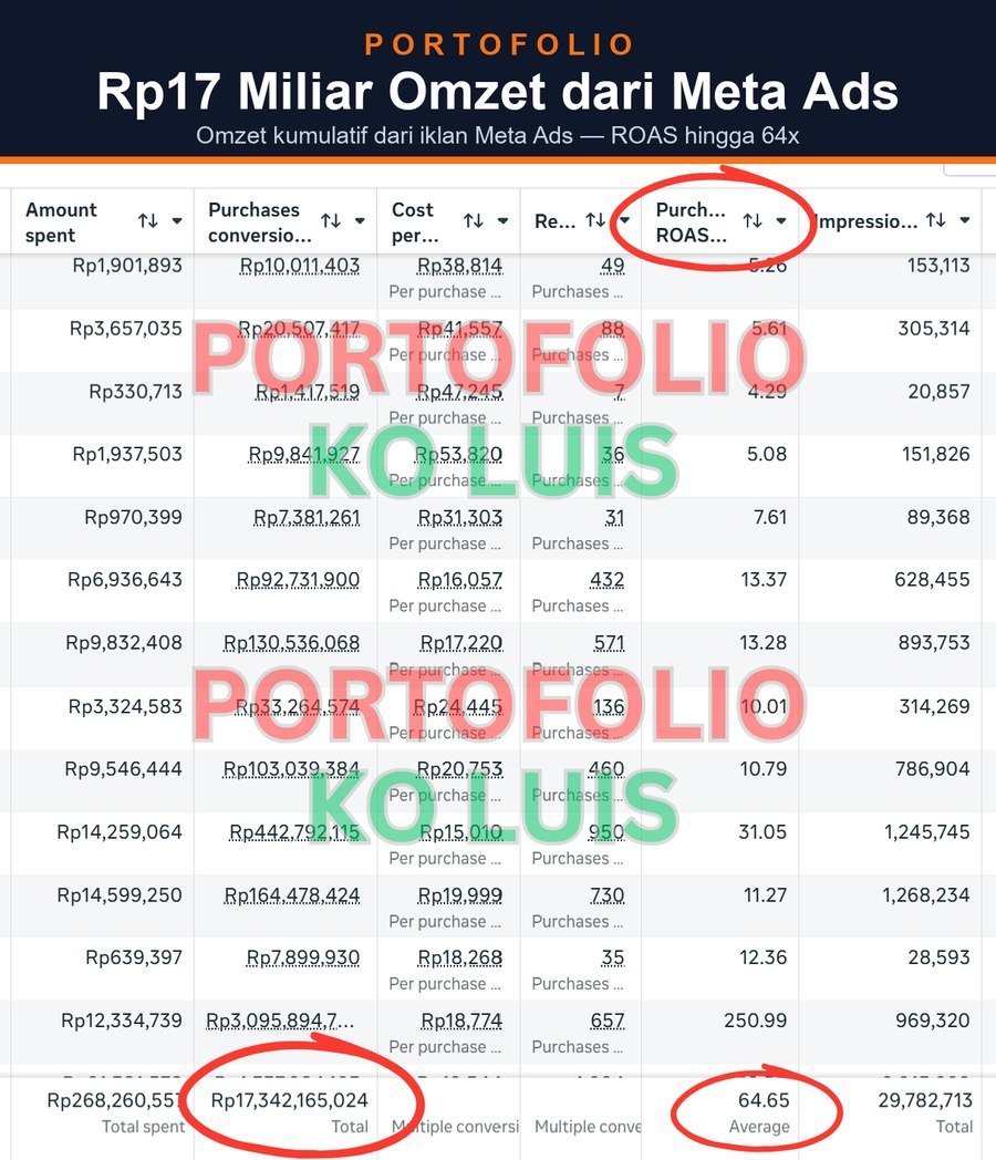 Portofolio ko Luis: omzet kumulatif Rp17 miliar dari Meta Ads